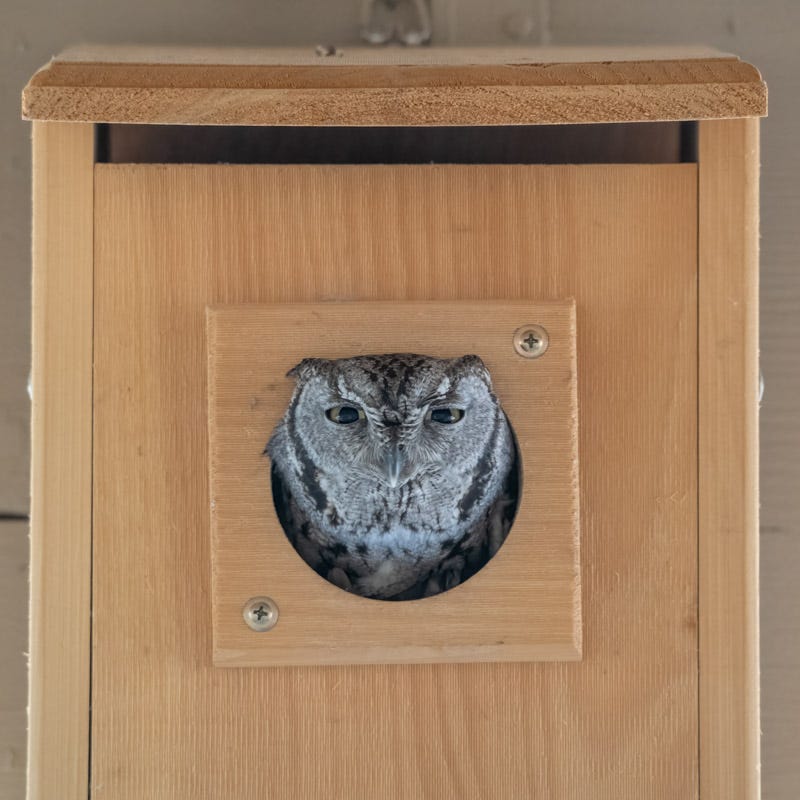 20250324-SGC-7-Edit.jpg 20250324-SGC-7-Edit.jpg