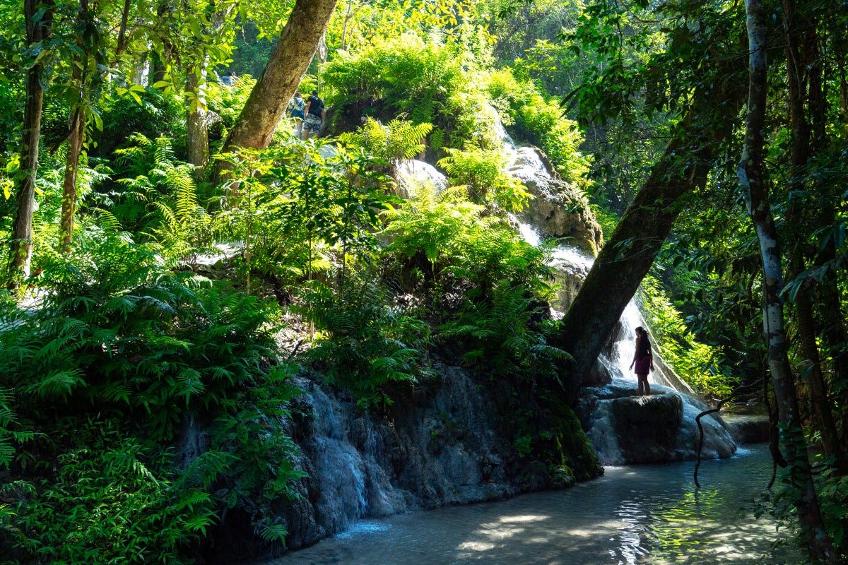 A person climbing barefoot up rounded, cream-coloured limestone rocks of a flowing waterfall surrounded by dense green foliage.
