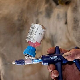 Nothing to See Here: Bill Gates Unveils New mRNA-Lipid Nanoparticle Jabs for Billions of Cows