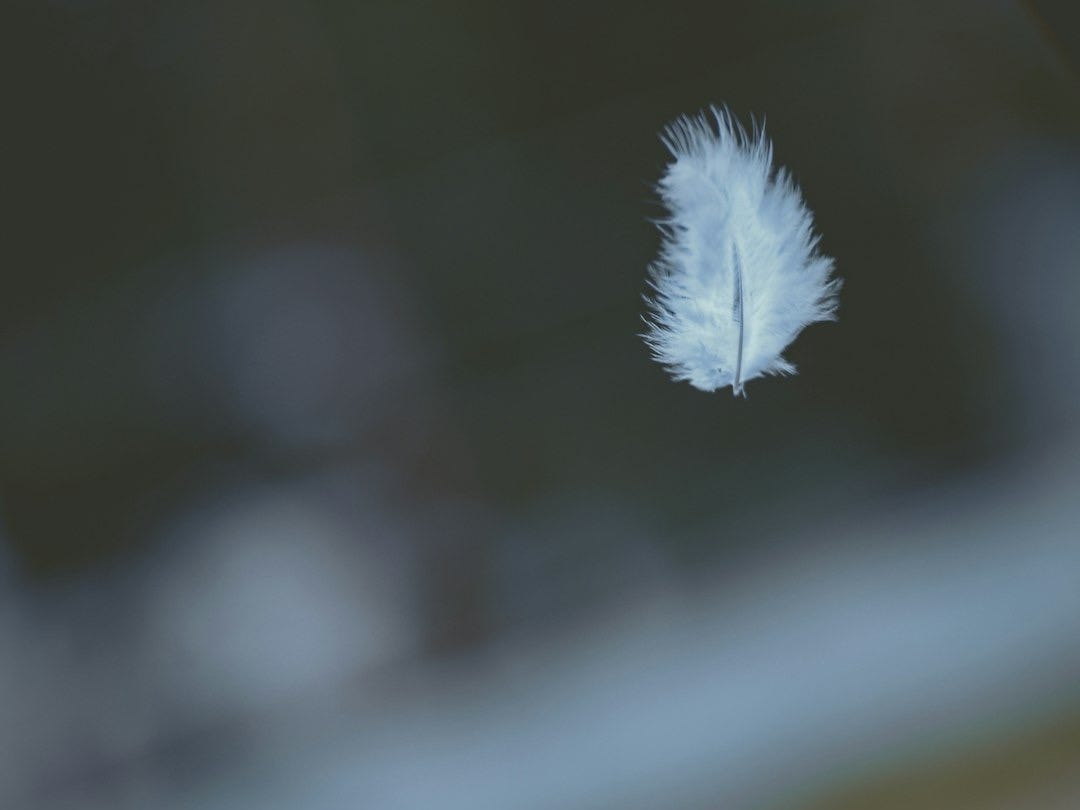 shallow focus photography of white feather dropping in person's hand
