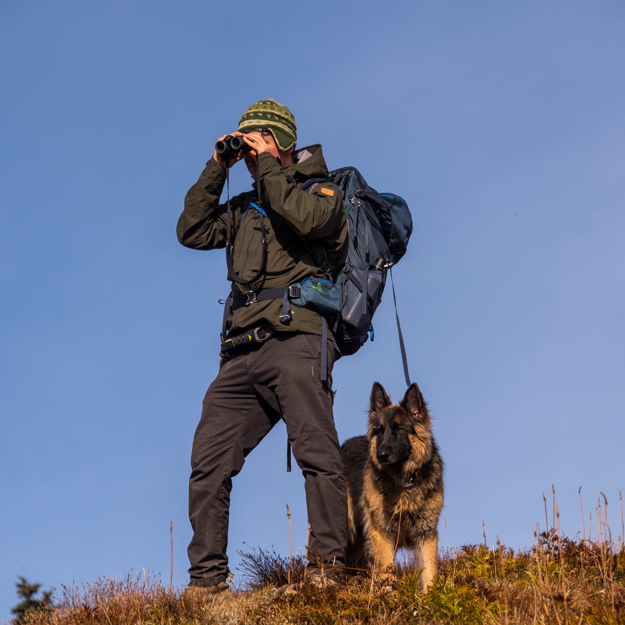 The Grizzly Bear Diaries