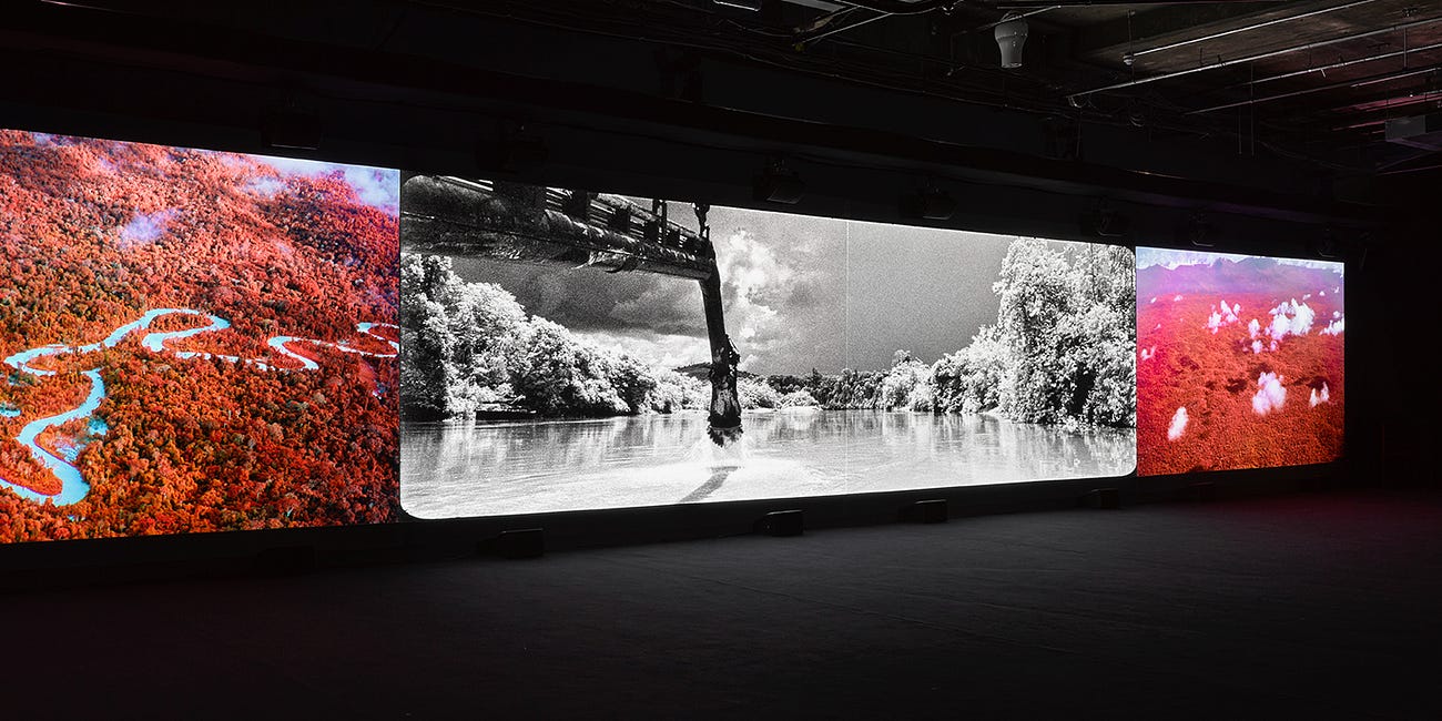 Making destruction in the Amazon visible