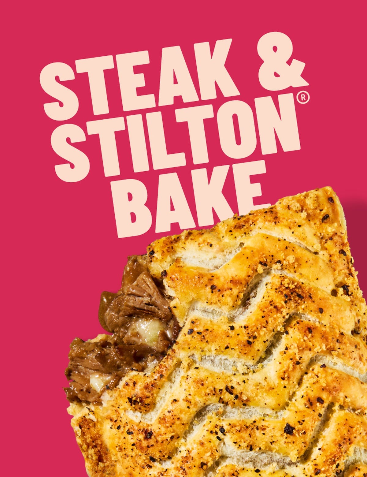 A Steak and Stilton Bake on a pink background A Steak and Stilton Bake on a pink background