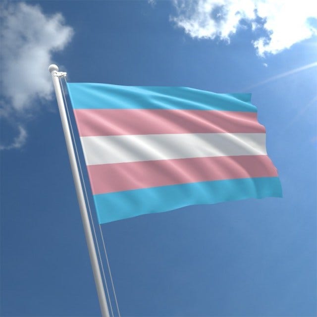 Is Transgender Flag Day a Real Thing? – More Light Presbyterians