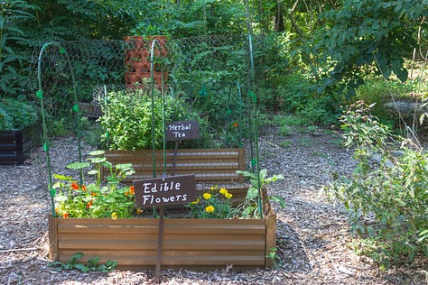 A gem in our Westchester community