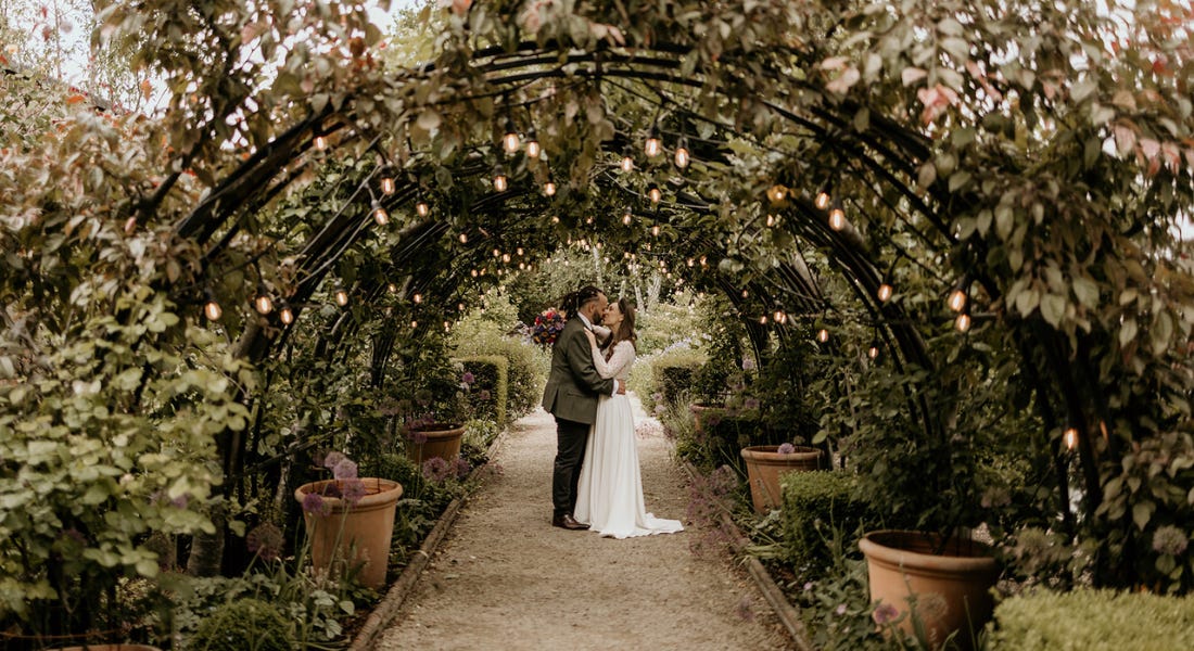 A garden with an arch with shrubbery and lights, and a path down it with a bride and groom A garden with an arch with shrubbery and lights, and a path down it with a bride and groom