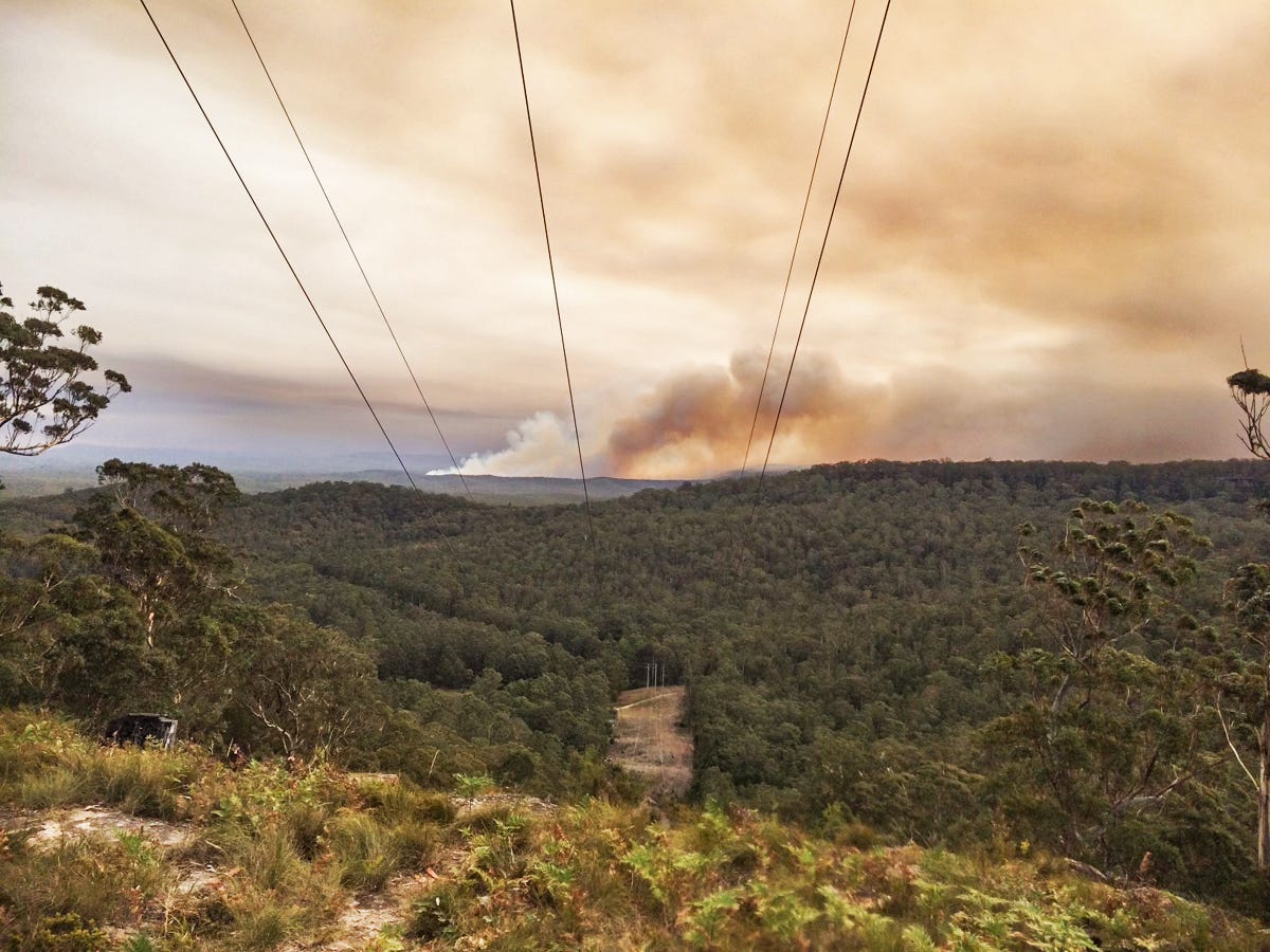 Smoke billowing over the ridge near Bella Cavallo in 2020. This view activated Hartley to call on her community to evacuate her rescue animals. Image by Vanessa Hartley. 