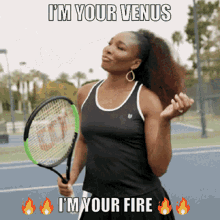 Venus Williams GIFs | Tenor