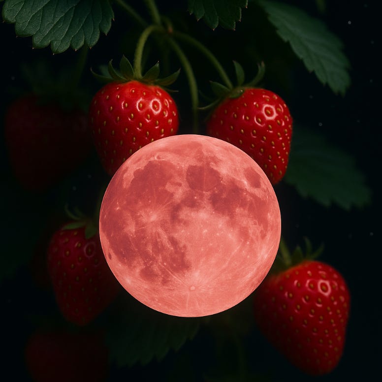 Full Moon in pink with succelent strawberries on fresh leaves behind the full moon - (c) CreaTEAvity Studio - Callie Di Nello