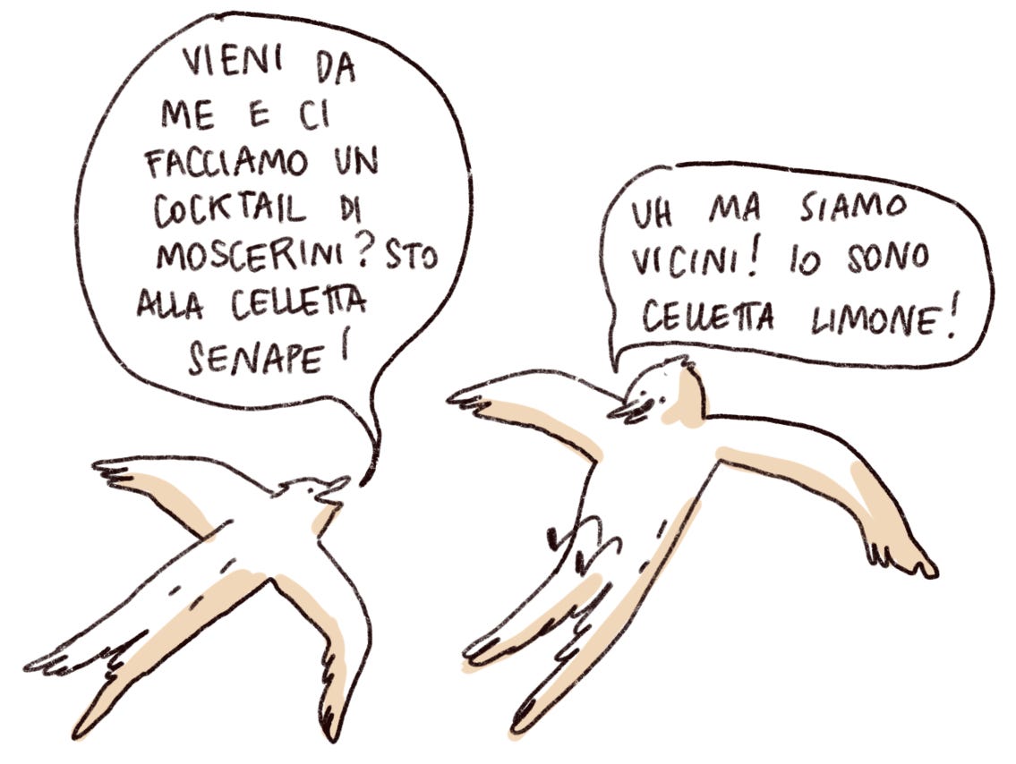 Disegno di dure rondoni in volo: il primo invita il secondo "Vieni da me e ci facciamo un cocktail di moscerini? Sto alla celletta senape!". L'altro risponde "Uh ma siamo vicini! Io sono celletta limone!"