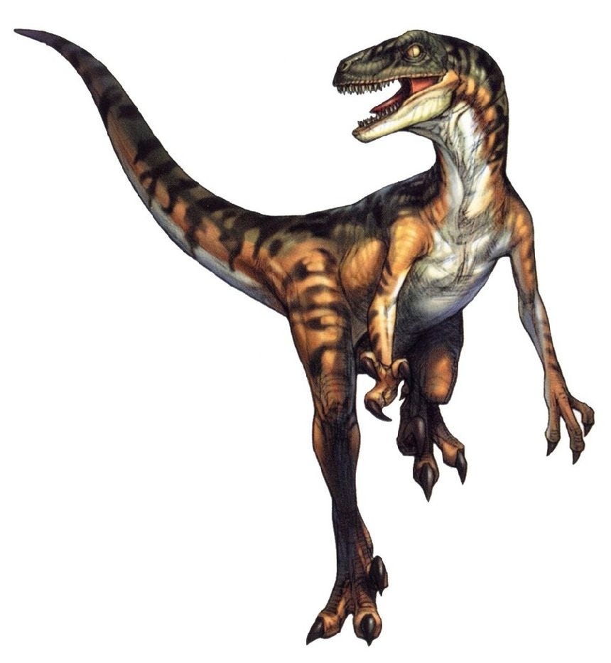 Velociraptor