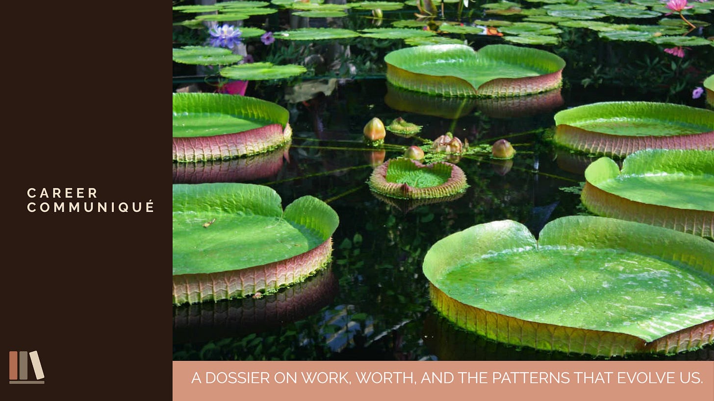 Career Communiqué header image: giant Victoria water lily pads with upturned ridged rims floating on dark pond water, buds rising between them, beside the tagline 'A dossier on work, worth, and the patterns that evolve us. Career Communiqué header image: giant Victoria water lily pads with upturned ridged rims floating on dark pond water, buds rising between them, beside the tagline 'A dossier on work, worth, and the patterns that evolve us.