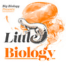 Big Biology