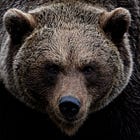 10 Interesting Facts About Bear Markets