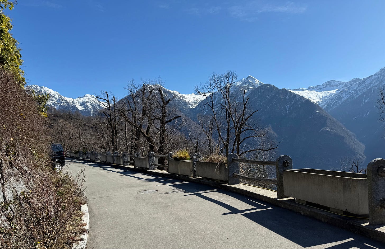 Alpine vista Alpine vista