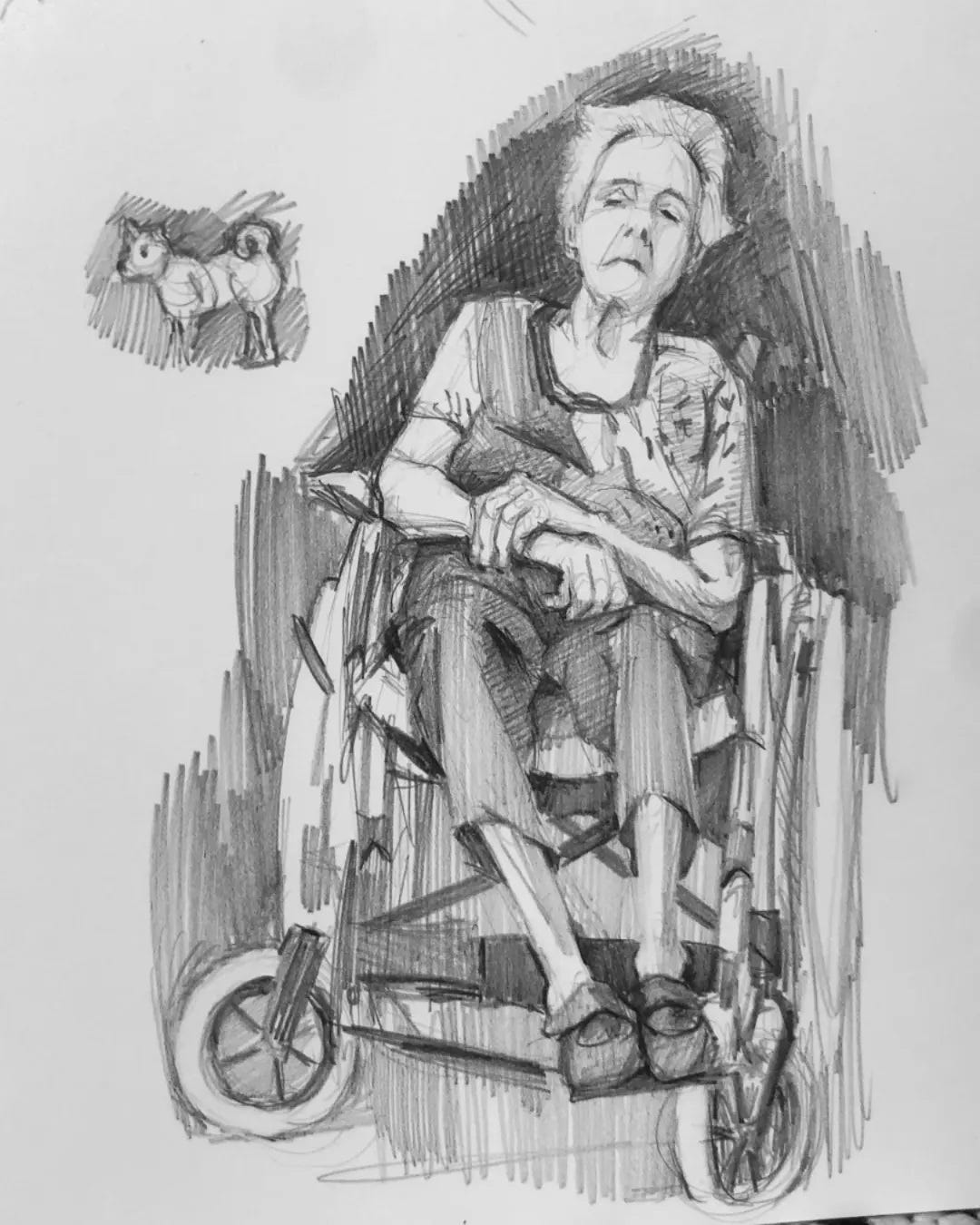 Taking a nap in the sun