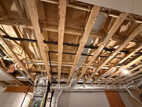 mold remediation