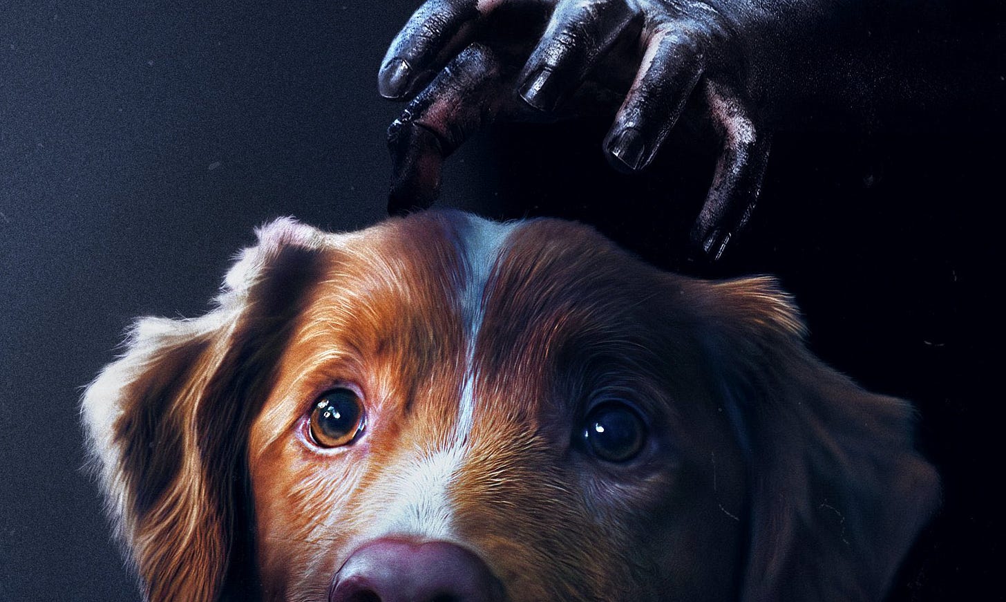 New Poster for 'Good Boy' Will Make You Very Afraid for Its Canine  Protagonist - Bloody Disgusting