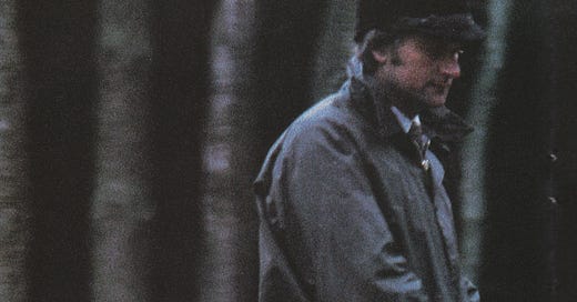 Quite Literally Nothing Like It