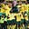Thabo M's avatar