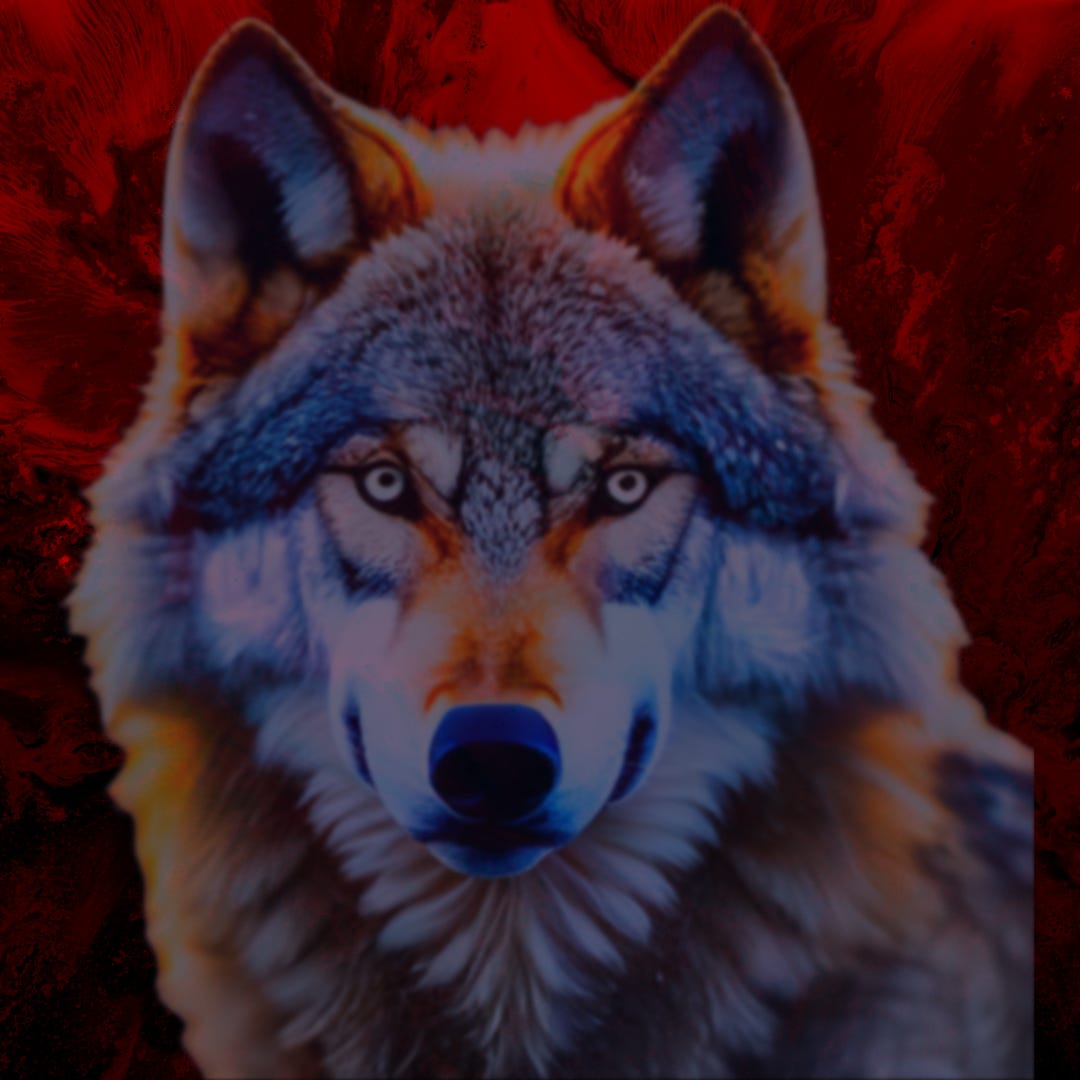 An AI generated gray wolf stares intently forward against a marbled red background