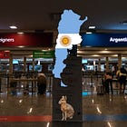 Immigration DNU Fine Print