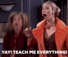 theloveliestco GIF theloveliestco GIF