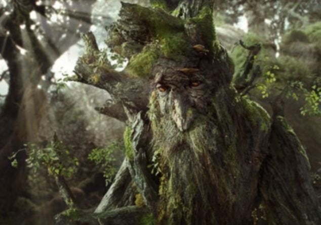 Tree Fool Team player - Paul Wells