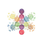 Syntropic Social Fields's avatar