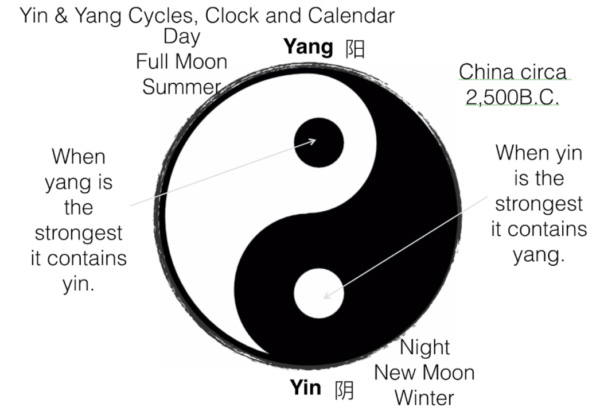 Yin & Yang: Symbolic Meaning & Connection to Yoga - Yoga Medicine