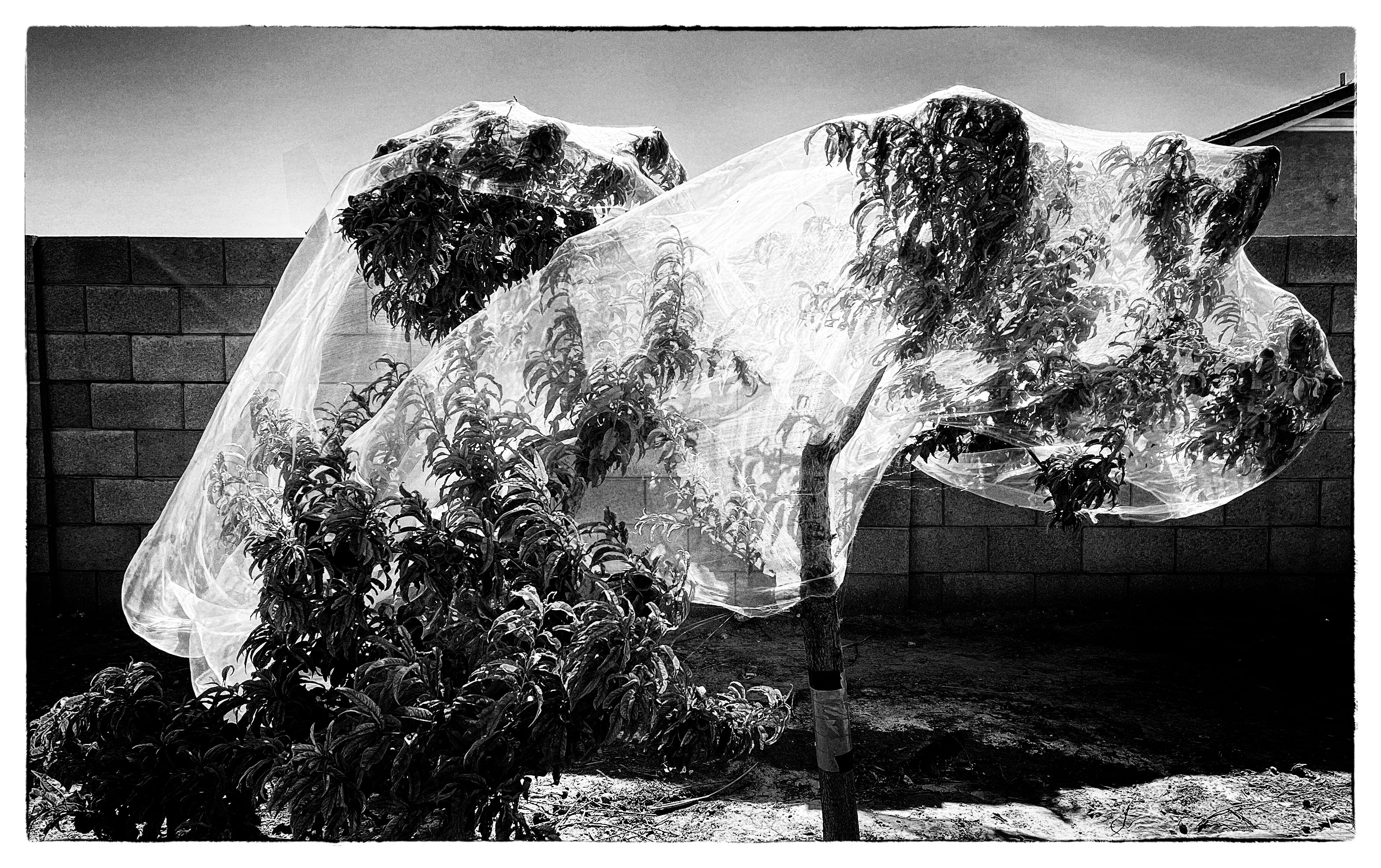 Border Matters - In The Frame: by Don Giannatti