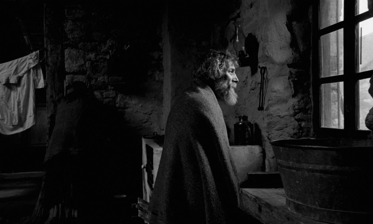 The Turin Horse (2011)