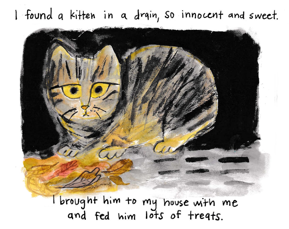tabby kitten in drain illustration by Beth Spencer