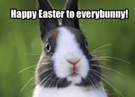 Funniest Easter Memes To Crack You Up This Spring