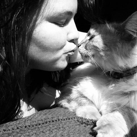 Various photos of Sam & Zee together. He was a gorgeous and fluffy, all white Ragdoll cat with big paws and big blue eyes. Sam is 20 years old and has red hair.