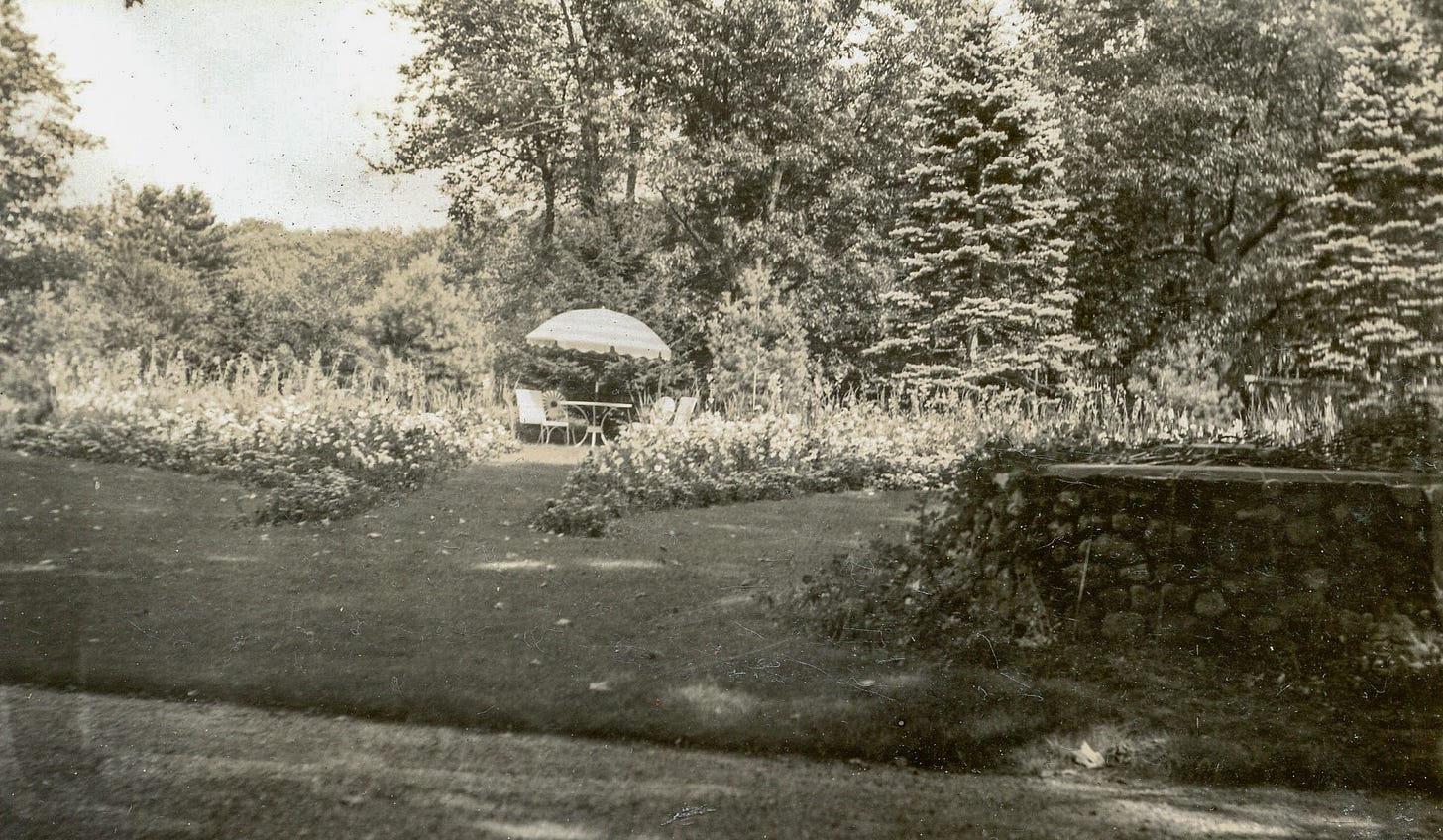 View from road