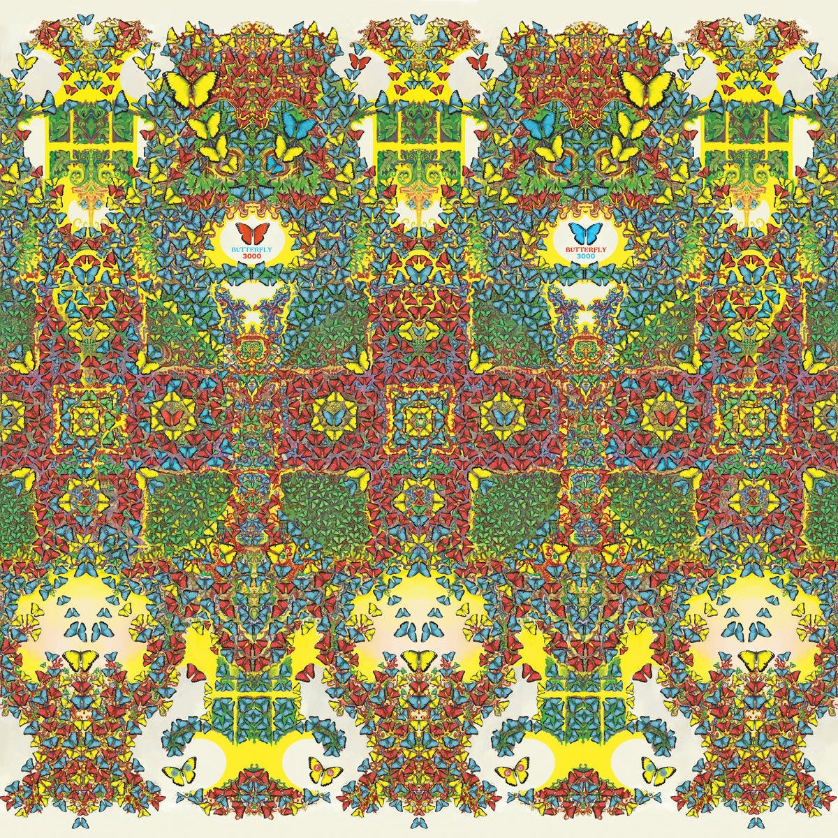 Butterfly 3000 | King Gizzard & The Lizard Wizard