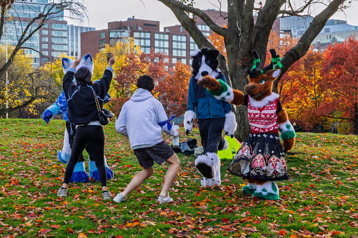 Two visitors dance with furries on a hill covered in autumn leaves near downtown Boston.