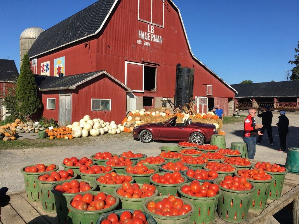Hagerman Farms