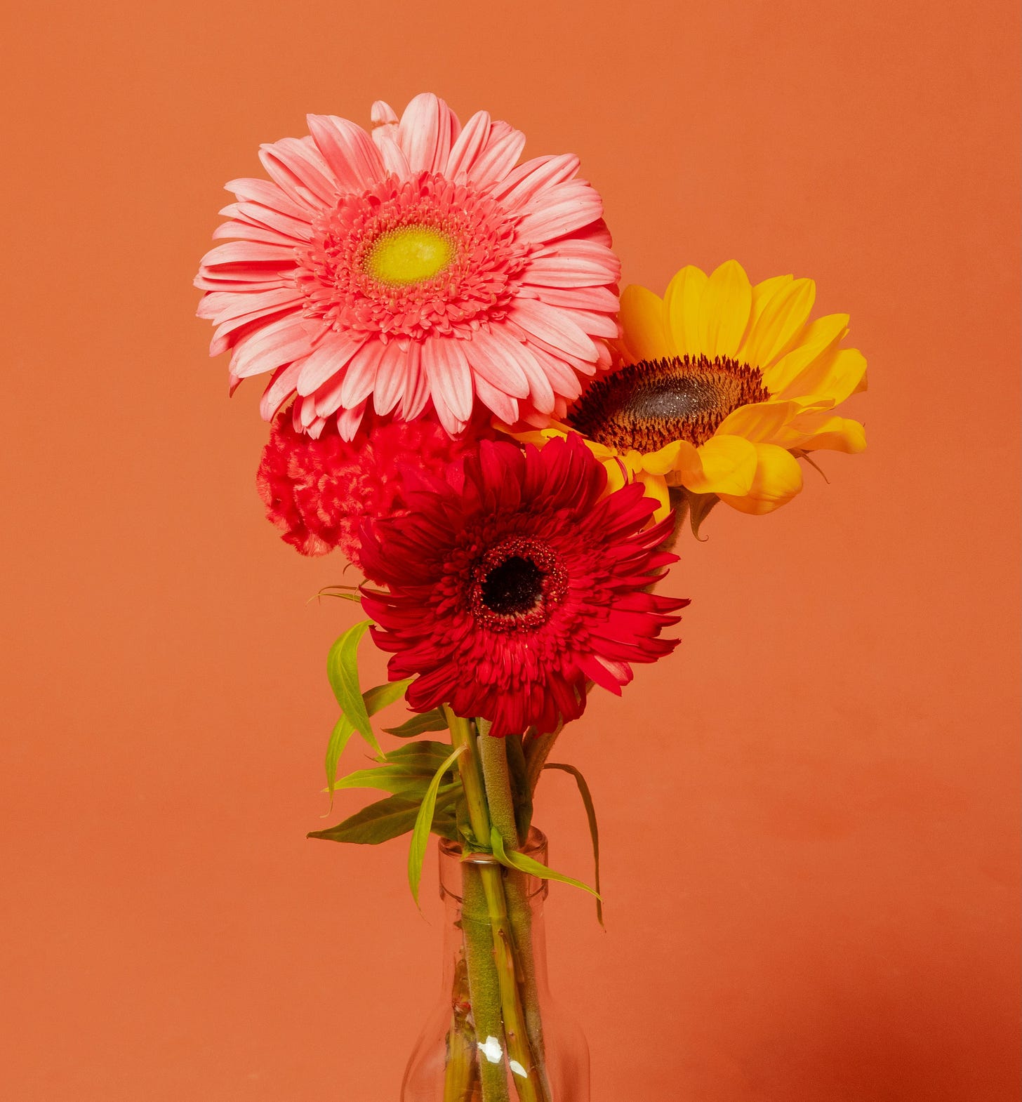 a bouquet of brightly-coloured flowers