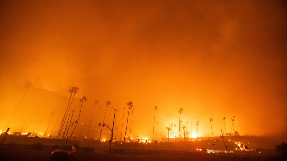 The Palisades Fire burns during a windstorm on the west side of Los Angeles, California, U.S. January 7, 2025.  REUTERS/Ringo Chiu