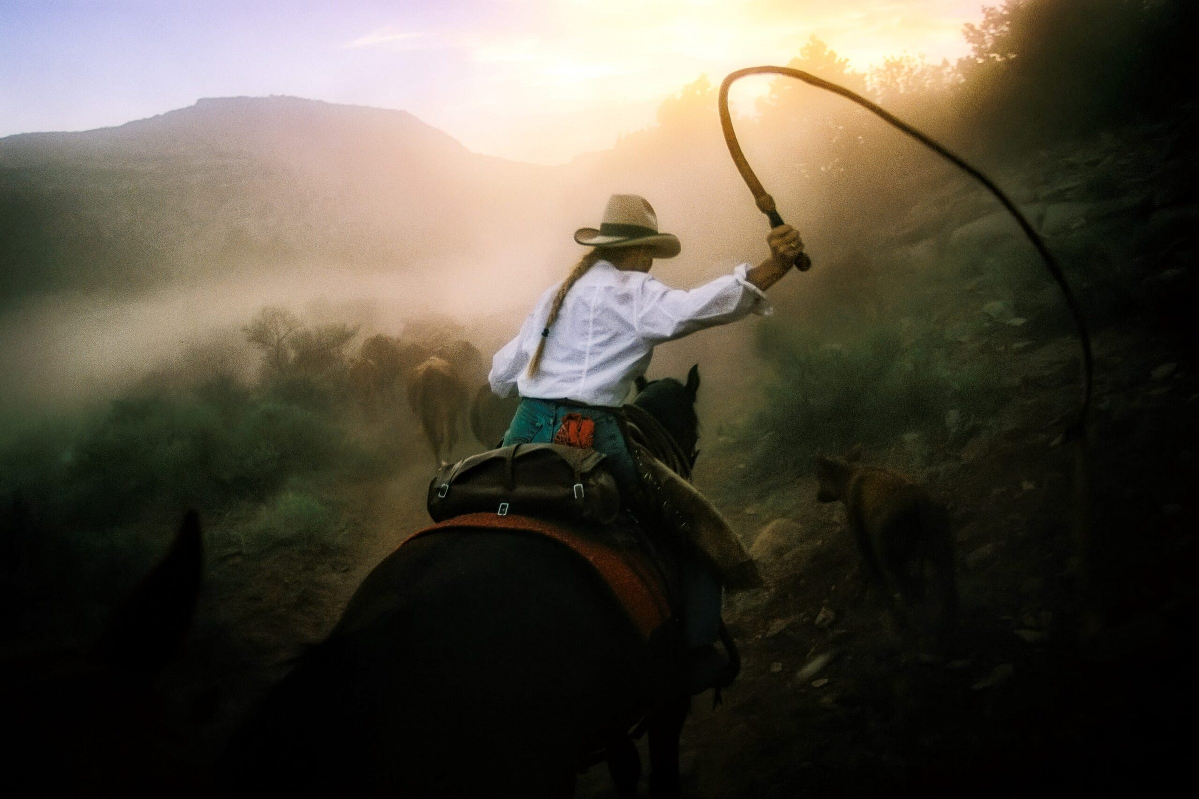 Cowgirl Heidi Redd, Utah, USA. Melissa Farlow