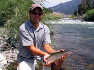 trout trout