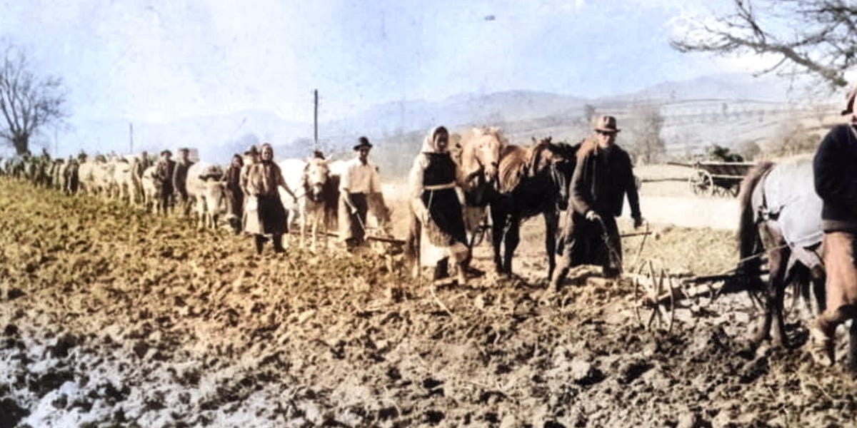 DZSURDZSA: Cowichan decision echoes the communism my parents lived through