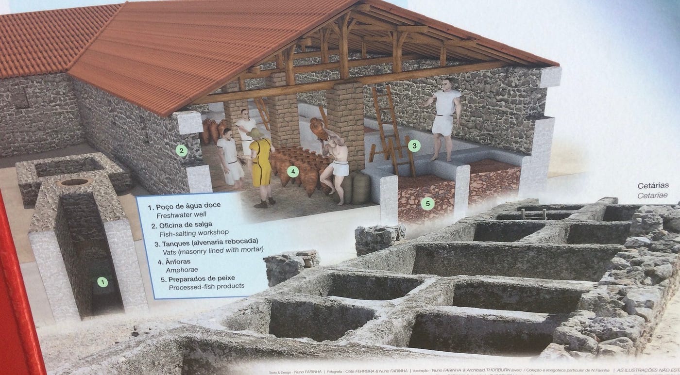 A photo of the garum factory near Troia.