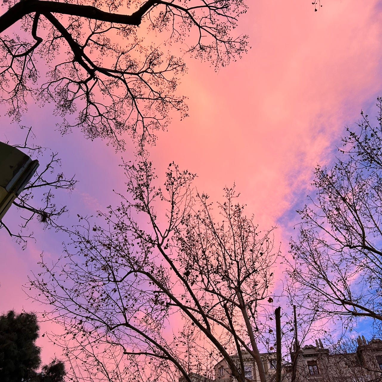 Artwork for Diario de una luz imparable