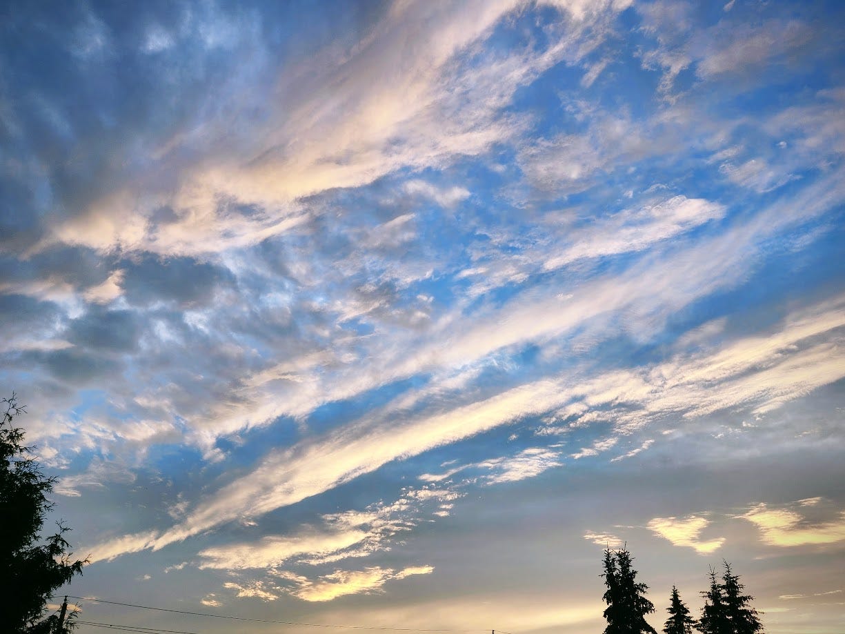 Picture of an evening sky with dynamic clouds.