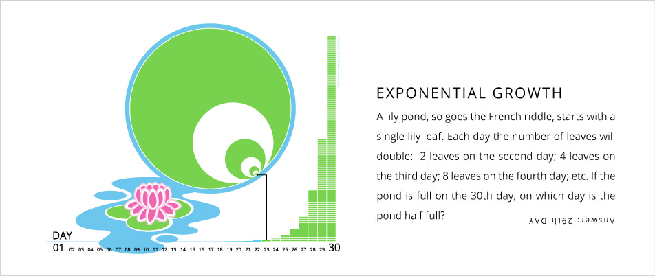 Image result for water lily exponential growth