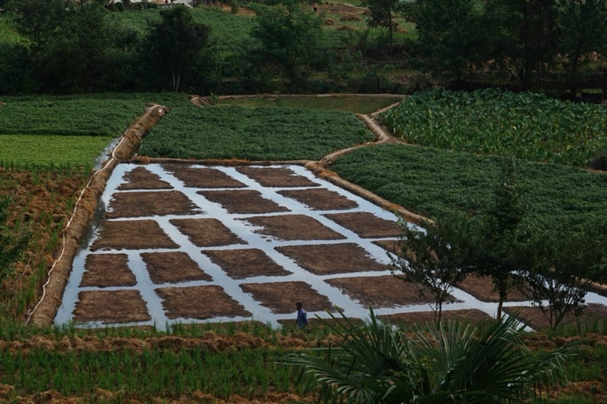 Vivianne Zhang Wei #6 Vivianne Zhang Wei #6