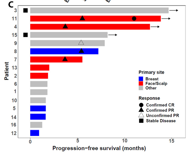 Immunotherapy for Angiosarcoma